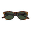 Picture of ZIPPO SUNGLASSES TORTOISESHELL